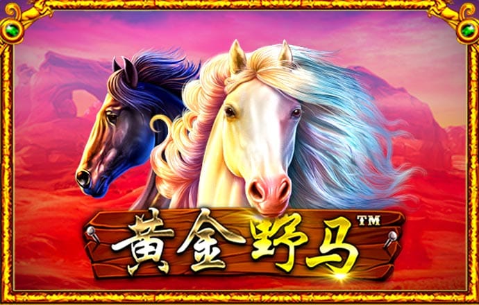亚洲必赢体育