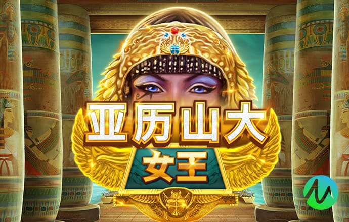 竞技联盟德州sohoo官网版下载